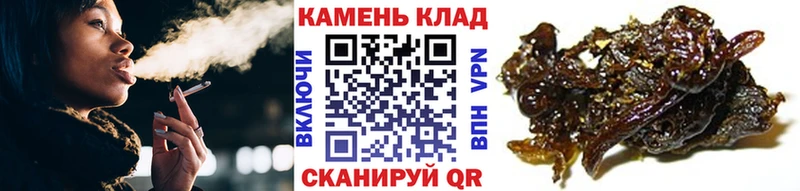 ГАШИШ Ice-O-Lator  Купить закладки  Фокино 