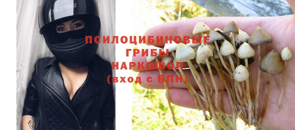 кокс Богородск