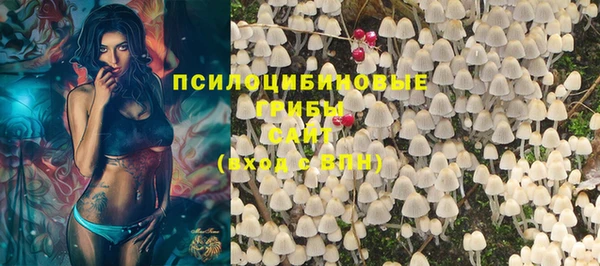 гидропоника Беломорск