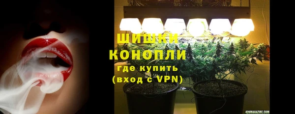 круглые Белокуриха