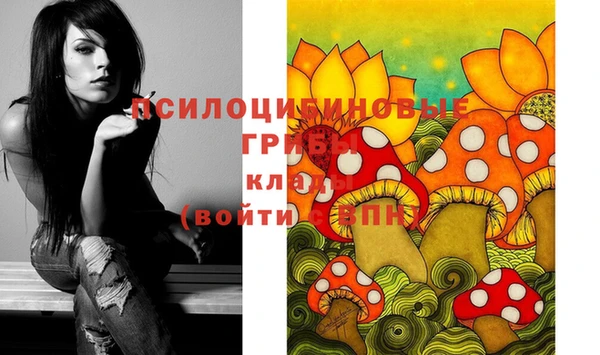 круглые Белокуриха