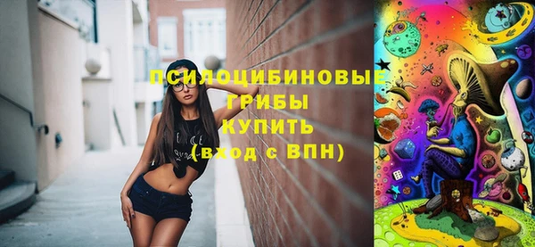 круглые Белокуриха