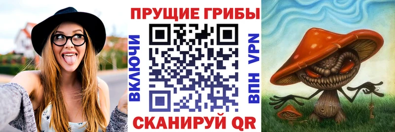 Псилоцибиновые грибы мухоморы  Купить где  Фокино 