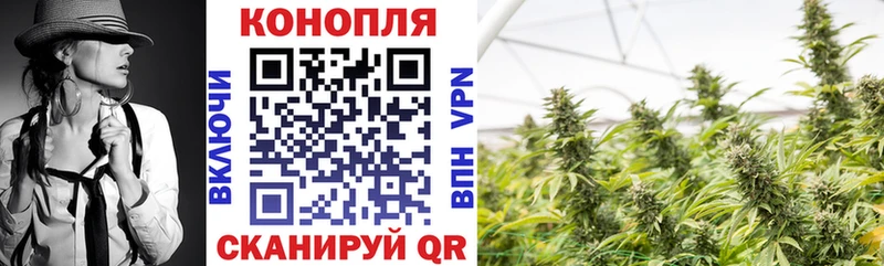Бошки марихуана семена  Купить где  Фокино 